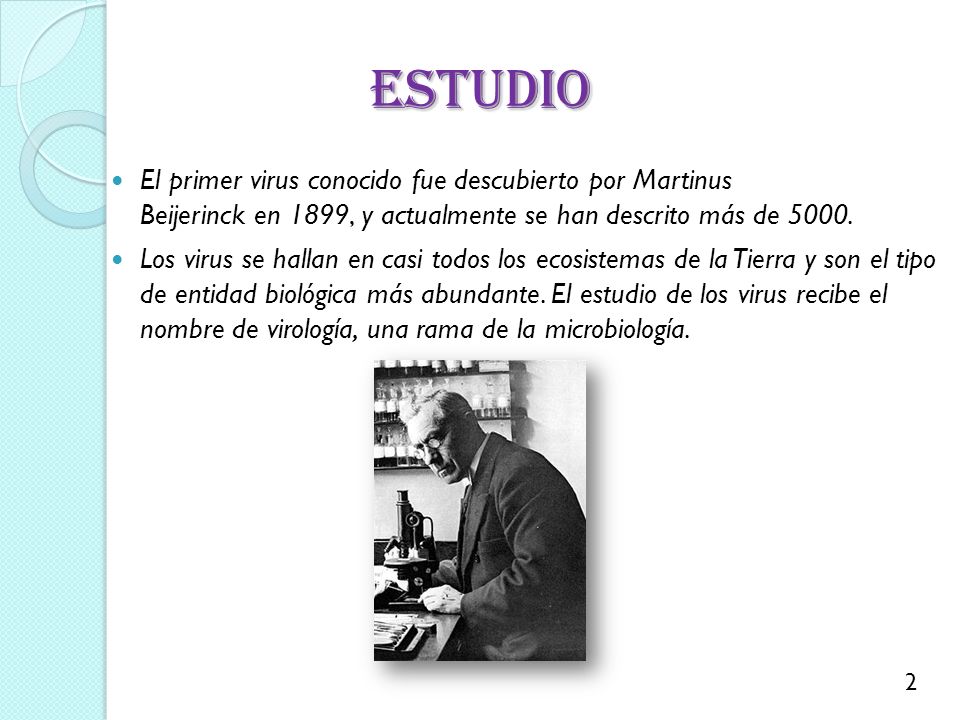 ESTUDIO El primer virus conocido fue descubierto por Martinus Beijerinck en 1899, y actualmente se han descrito más de