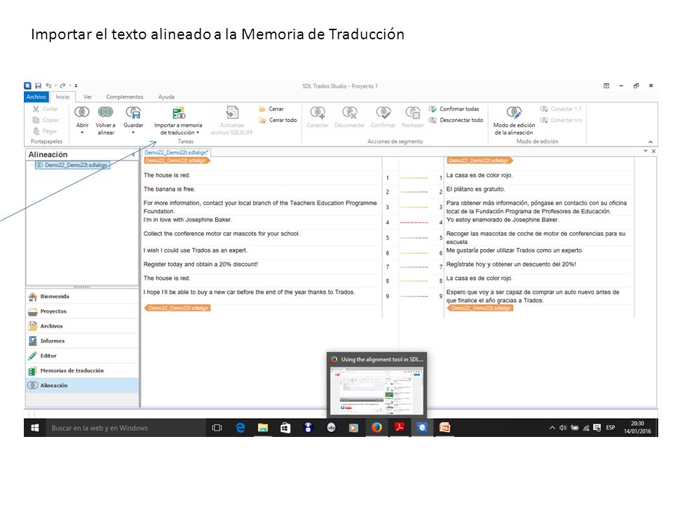 Importar el texto alineado a la Memoria de Traducción
