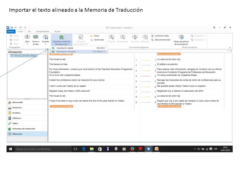 Importar el texto alineado a la Memoria de Traducción