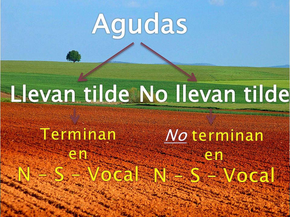 Agudas Llevan tilde No llevan tilde N – S – Vocal N – S – Vocal
