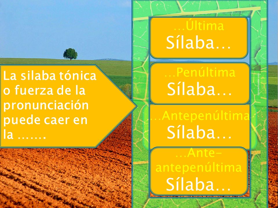 … Sílaba… Sílaba… Sílaba… Sílaba… …Última …Penúltima La silaba tónica