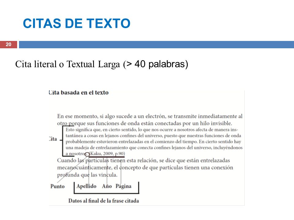 CITAS DE TEXTO Cita literal o Textual Larga (> 40 palabras)