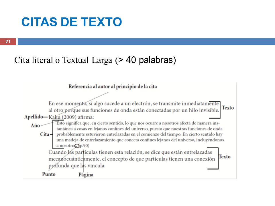 CITAS DE TEXTO Cita literal o Textual Larga (> 40 palabras)