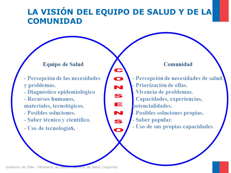 LA VISIÓN DEL EQUIPO DE SALUD Y DE LA COMUNIDAD