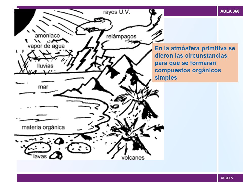 En la atmósfera primitiva se dieron las circunstancias para que se formaran compuestos orgánicos simples