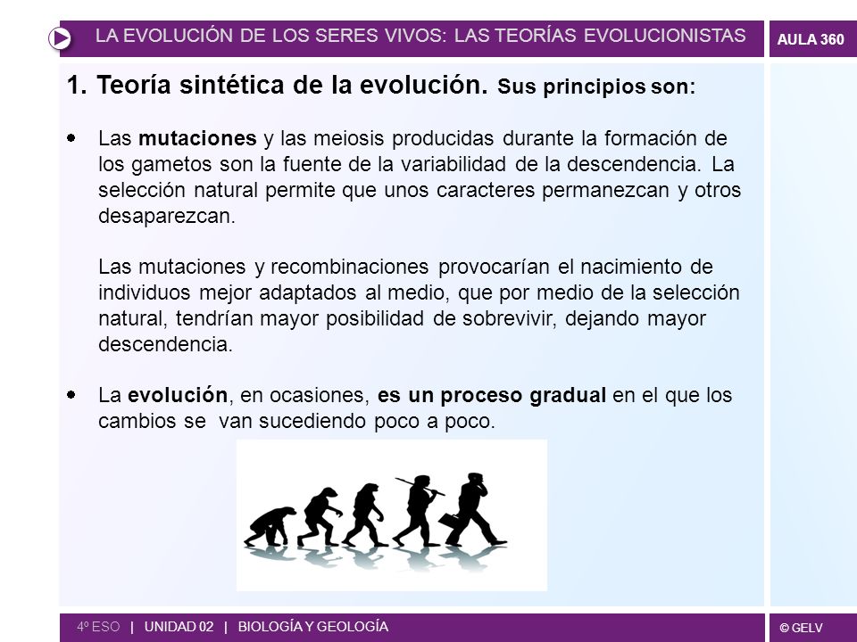 1. Teoría sintética de la evolución. Sus principios son: