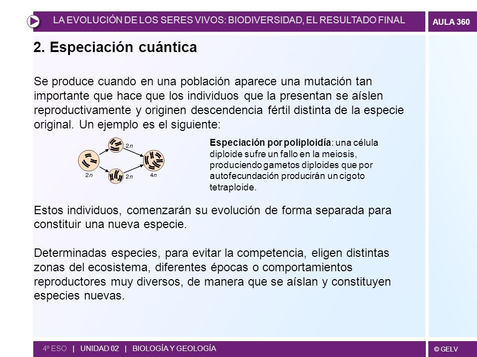 LA EVOLUCIÓN DE LOS SERES VIVOS: BIODIVERSIDAD, EL RESULTADO FINAL