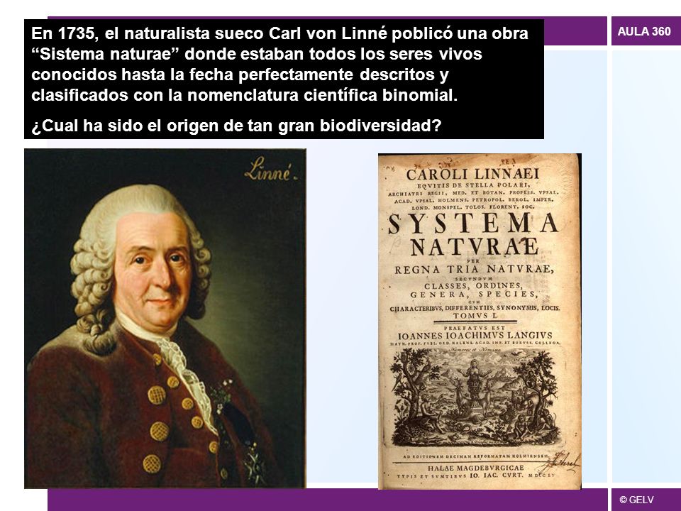 En 1735, el naturalista sueco Carl von Linné poblicó una obra Sistema naturae donde estaban todos los seres vivos conocidos hasta la fecha perfectamente descritos y clasificados con la nomenclatura científica binomial.