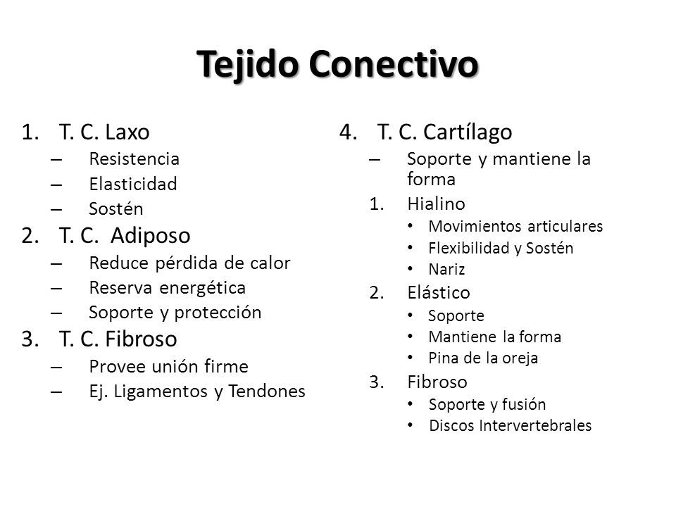 Tejido Conectivo T. C. Laxo T. C. Adiposo T. C. Fibroso
