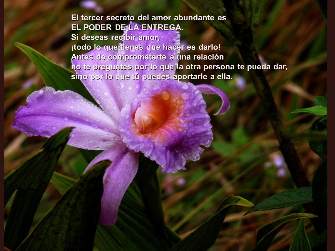 El tercer secreto del amor abundante es EL PODER DE LA ENTREGA