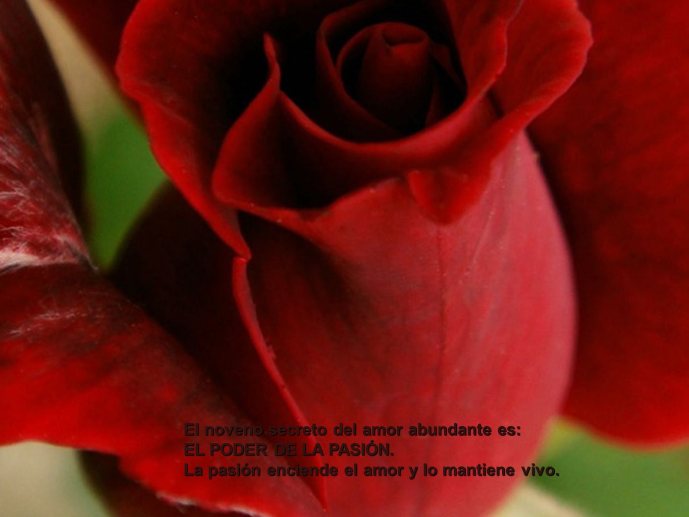 El noveno secreto del amor abundante es: EL PODER DE LA PASIÓN
