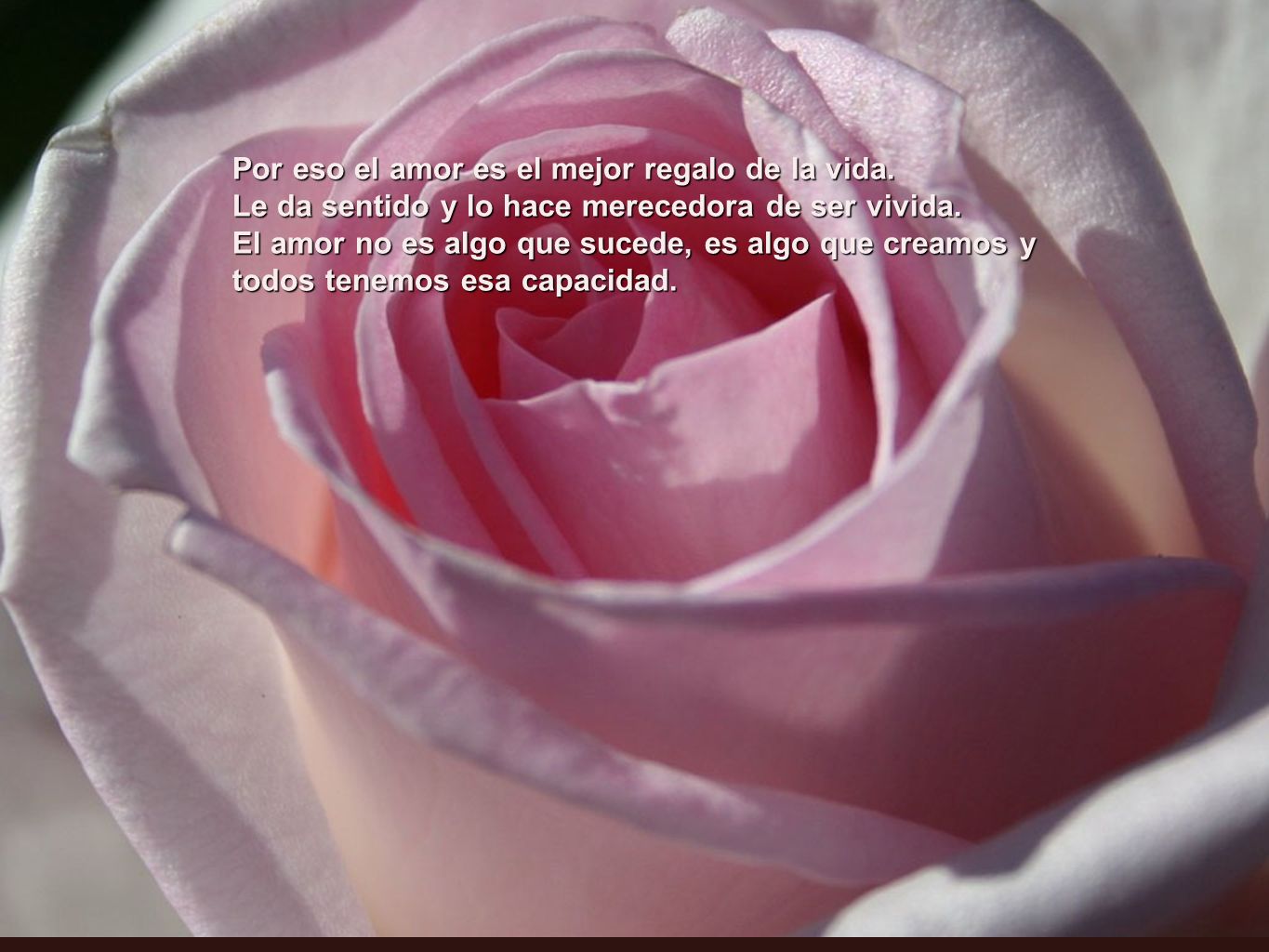Por eso el amor es el mejor regalo de la vida