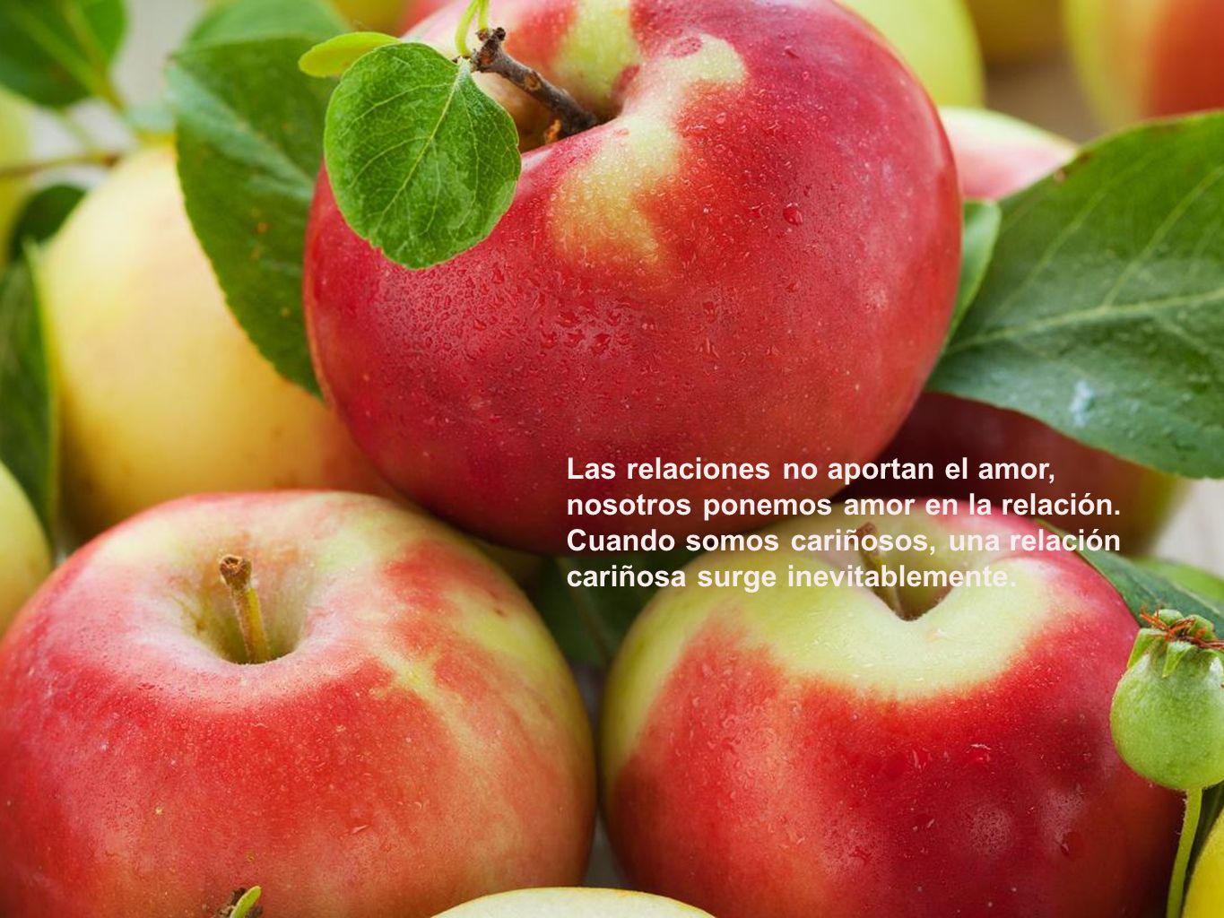 Las relaciones no aportan el amor, nosotros ponemos amor en la relación.