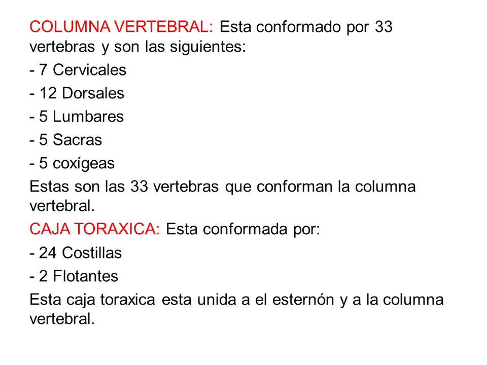 COLUMNA VERTEBRAL: Esta conformado por 33 vertebras y son las siguientes: - 7 Cervicales - 12 Dorsales - 5 Lumbares - 5 Sacras - 5 coxígeas Estas son las 33 vertebras que conforman la columna vertebral.