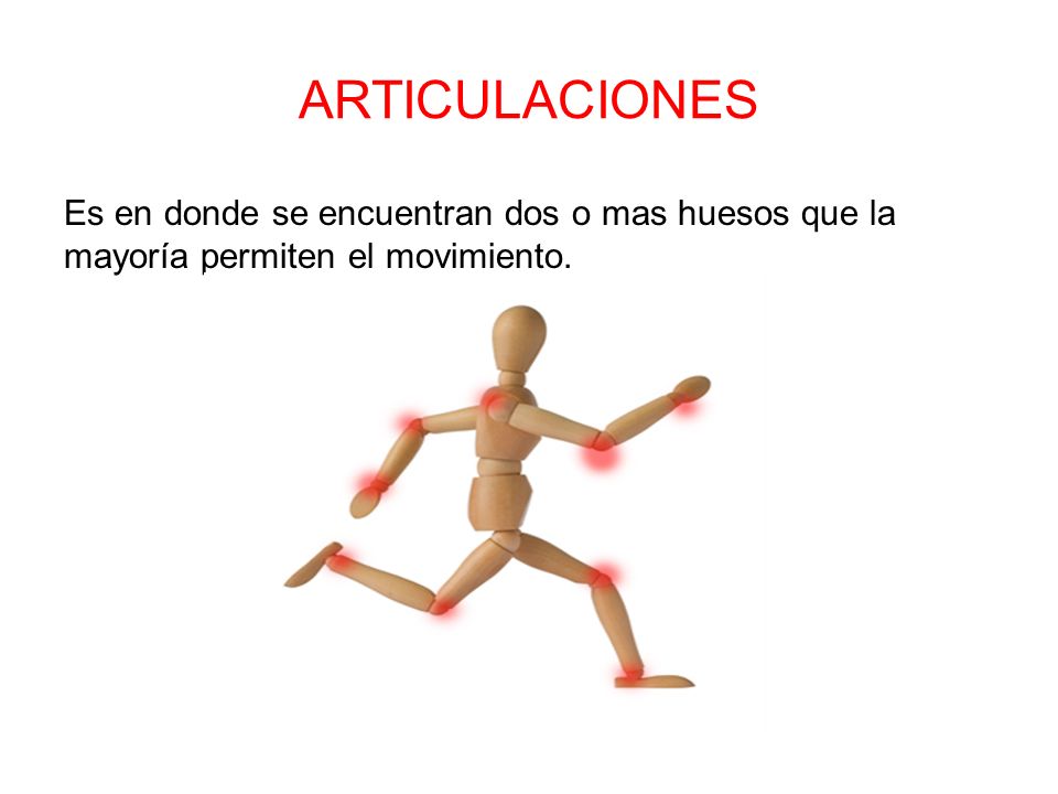 ARTICULACIONES Es en donde se encuentran dos o mas huesos que la mayoría permiten el movimiento.