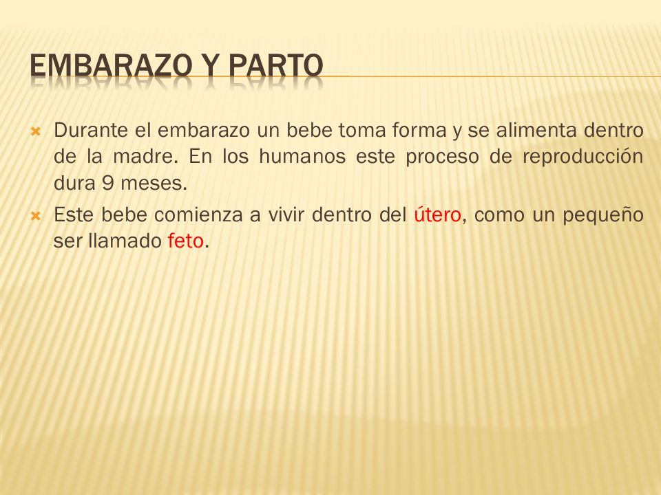 Embarazo y parto Durante el embarazo un bebe toma forma y se alimenta dentro de la madre. En los humanos este proceso de reproducción dura 9 meses.