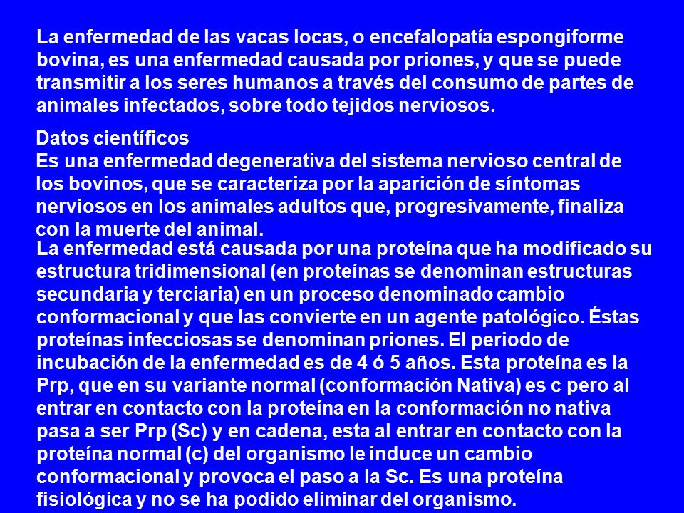 La enfermedad de las vacas locas, o encefalopatía espongiforme bovina, es una enfermedad causada por priones, y que se puede transmitir a los seres humanos a través del consumo de partes de animales infectados, sobre todo tejidos nerviosos.