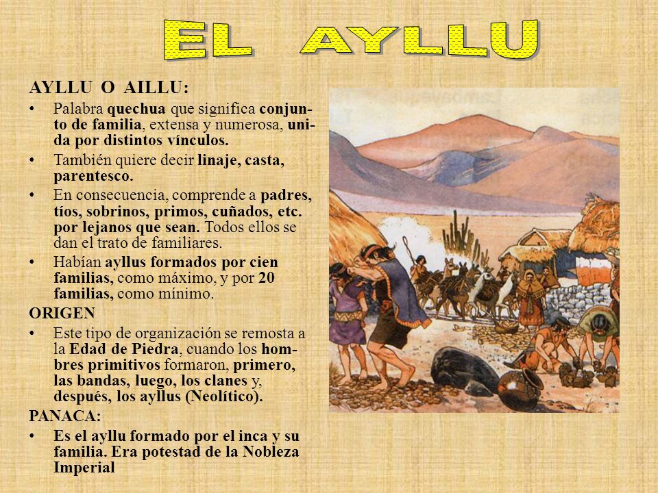EL AYLLU AYLLU O AILLU: Palabra quechua que significa conjun-to de familia, extensa y numerosa, uni-da por distintos vínculos.