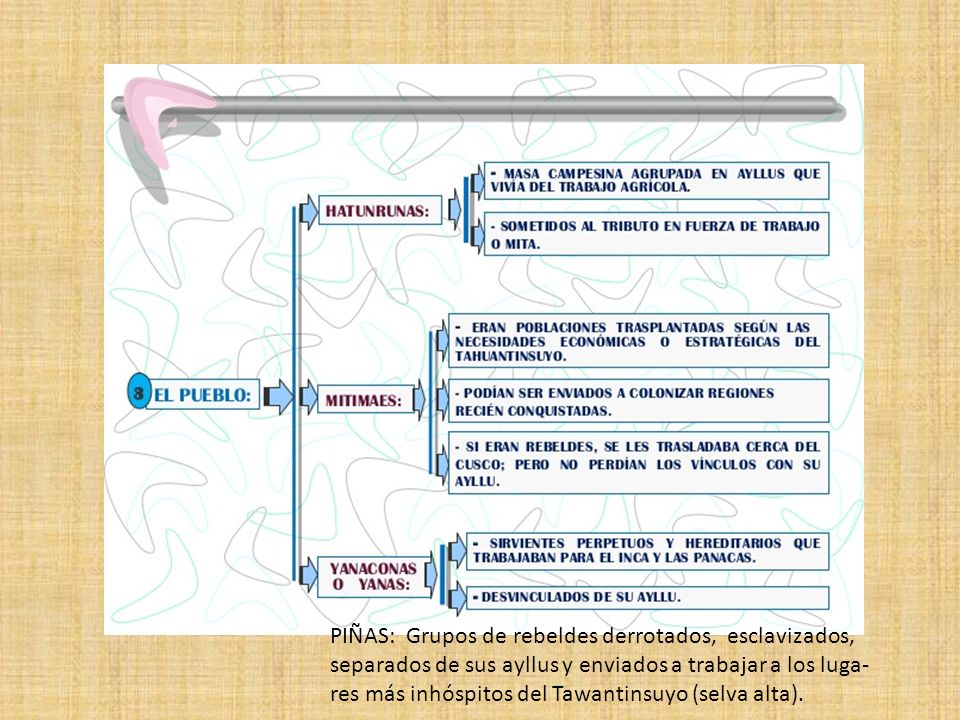 PIÑAS: Grupos de rebeldes derrotados, esclavizados, separados de sus ayllus y enviados a trabajar a los luga-res más inhóspitos del Tawantinsuyo (selva alta).