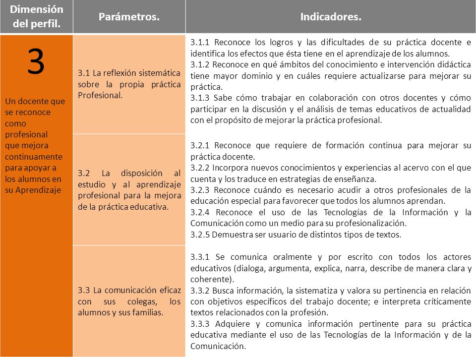 3 Dimensión del perfil. Parámetros. Indicadores. Un docente que