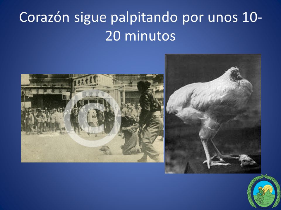 Corazón sigue palpitando por unos minutos