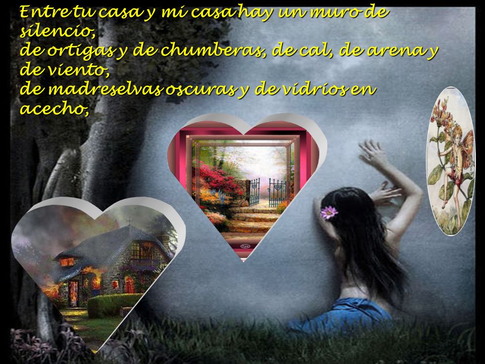 Entre tu casa y mi casa hay un muro de silencio, de ortigas y de chumberas, de cal, de arena y de viento, de madreselvas oscuras y de vidrios en acecho,