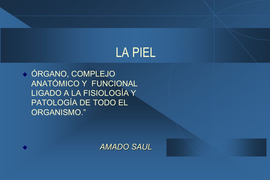 LA PIEL ÓRGANO, COMPLEJO ANATÓMICO Y FUNCIONAL LIGADO A LA FISIOLOGÍA Y PATOLOGÍA DE TODO EL ORGANISMO.