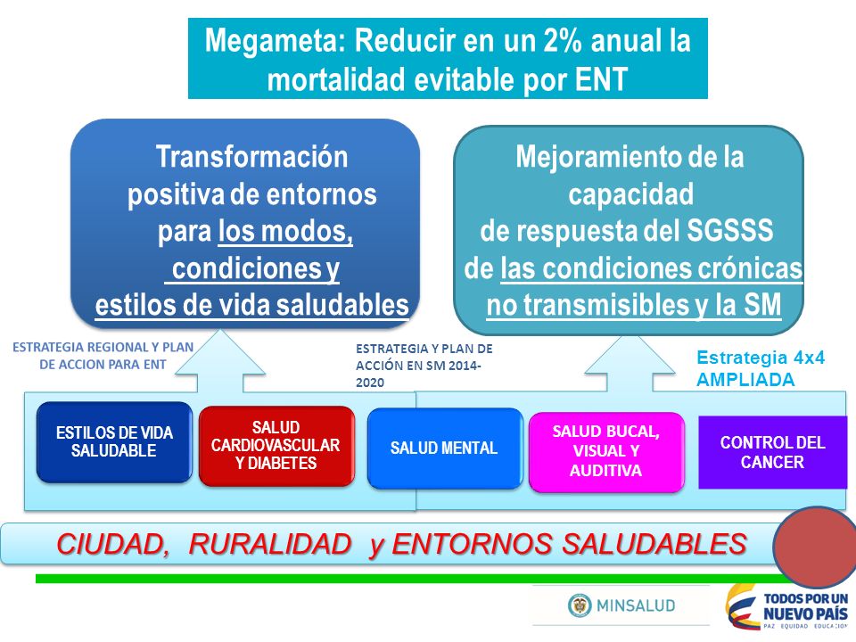 Megameta: Reducir en un 2% anual la mortalidad evitable por ENT