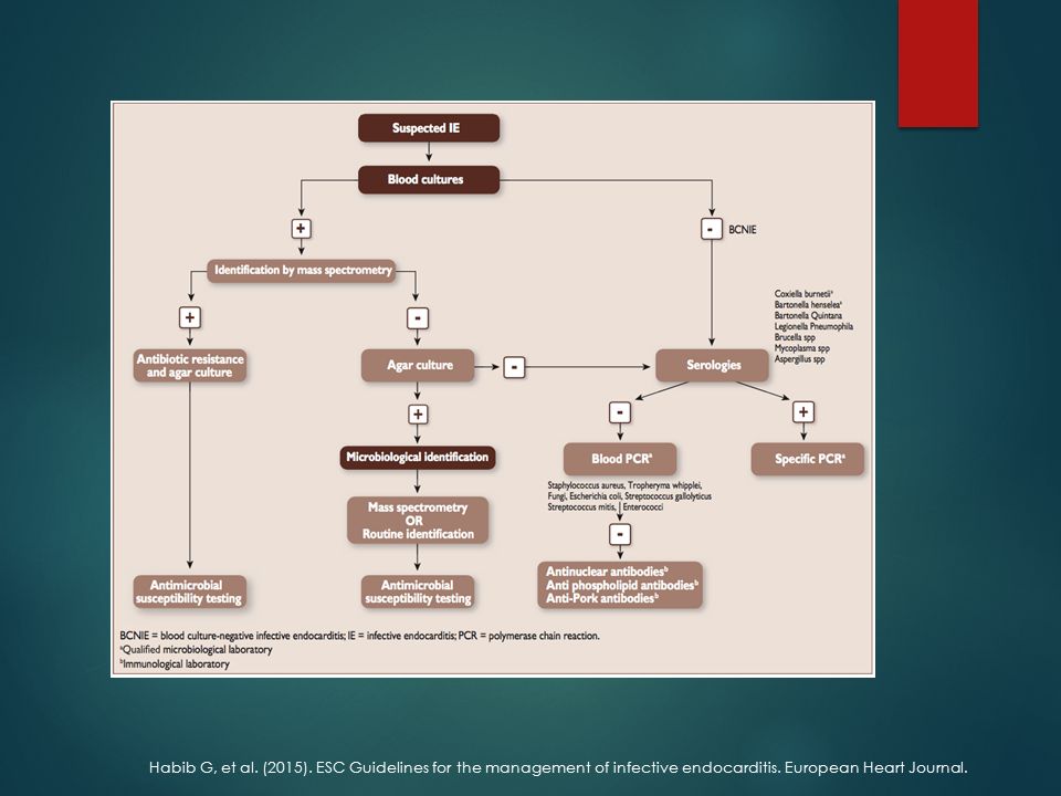 Habib G, et al. (2015). ESC Guidelines for the management of infective endocarditis.