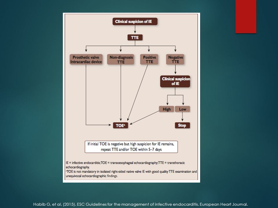 Habib G, et al. (2015). ESC Guidelines for the management of infective endocarditis.