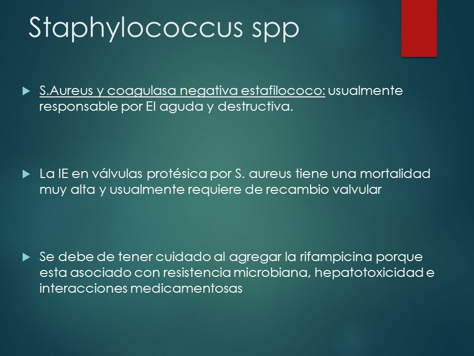 Staphylococcus spp S.Aureus y coagulasa negativa estafilococo: usualmente responsable por EI aguda y destructiva.