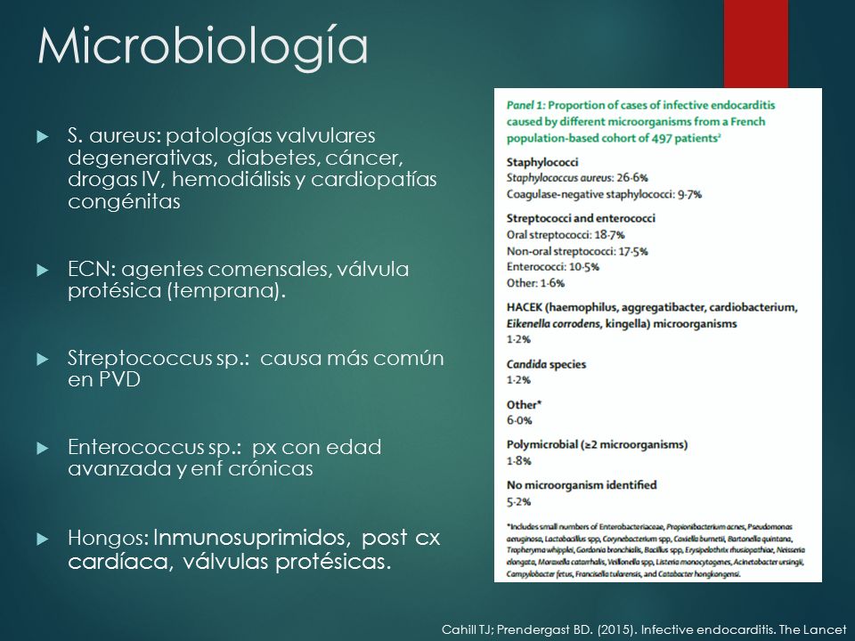 Microbiología S. aureus: patologías valvulares degenerativas, diabetes, cáncer, drogas IV, hemodiálisis y cardiopatías congénitas.
