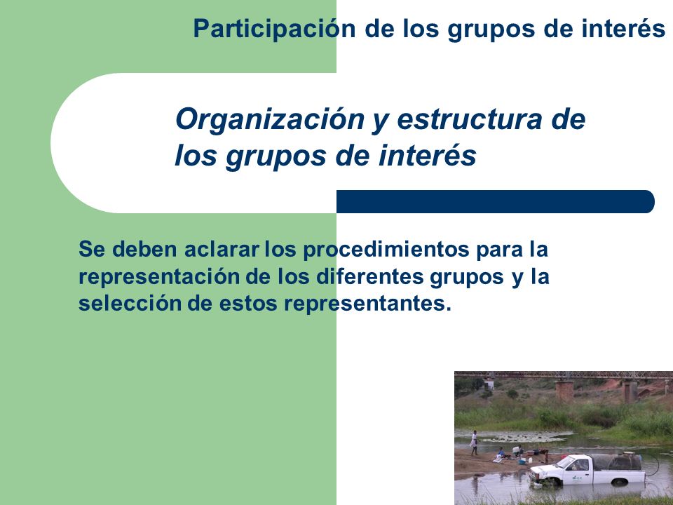 Organización y estructura de los grupos de interés