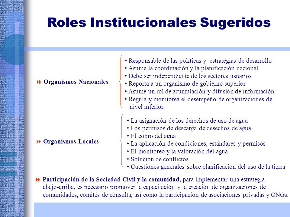 Roles Institucionales Sugeridos