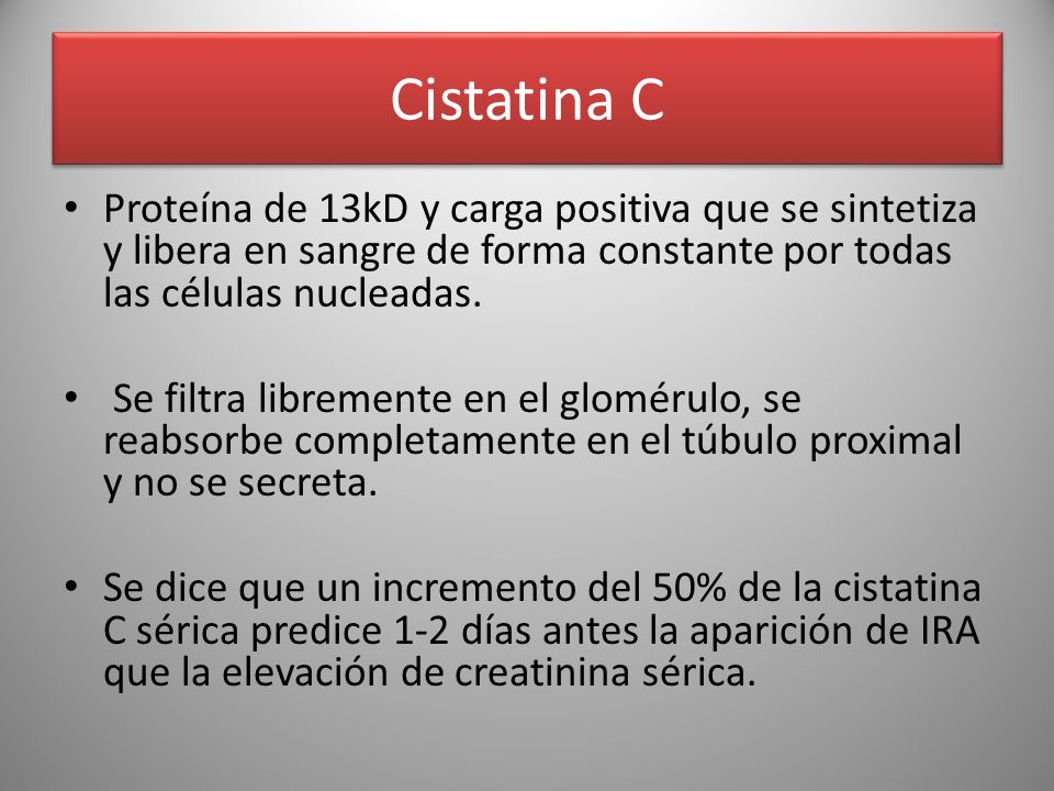 Cistatina C Proteína de 13kD y carga positiva que se sintetiza y libera en sangre de forma constante por todas las células nucleadas.