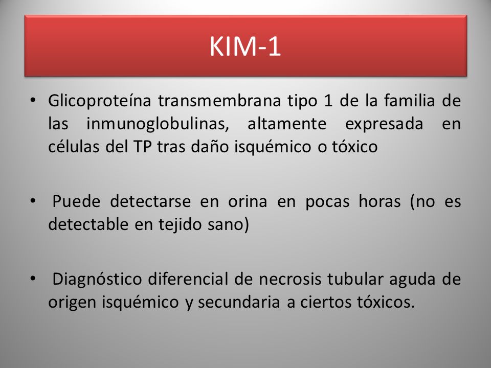KIM-1 Glicoproteína transmembrana tipo 1 de la familia de las inmunoglobulinas, altamente expresada en células del TP tras daño isquémico o tóxico.