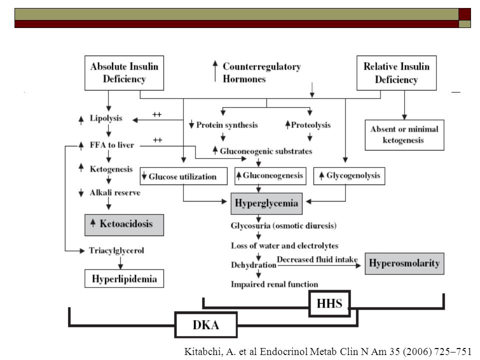 Kitabchi, A. et al Endocrinol Metab Clin N Am 35 (2006) 725–751