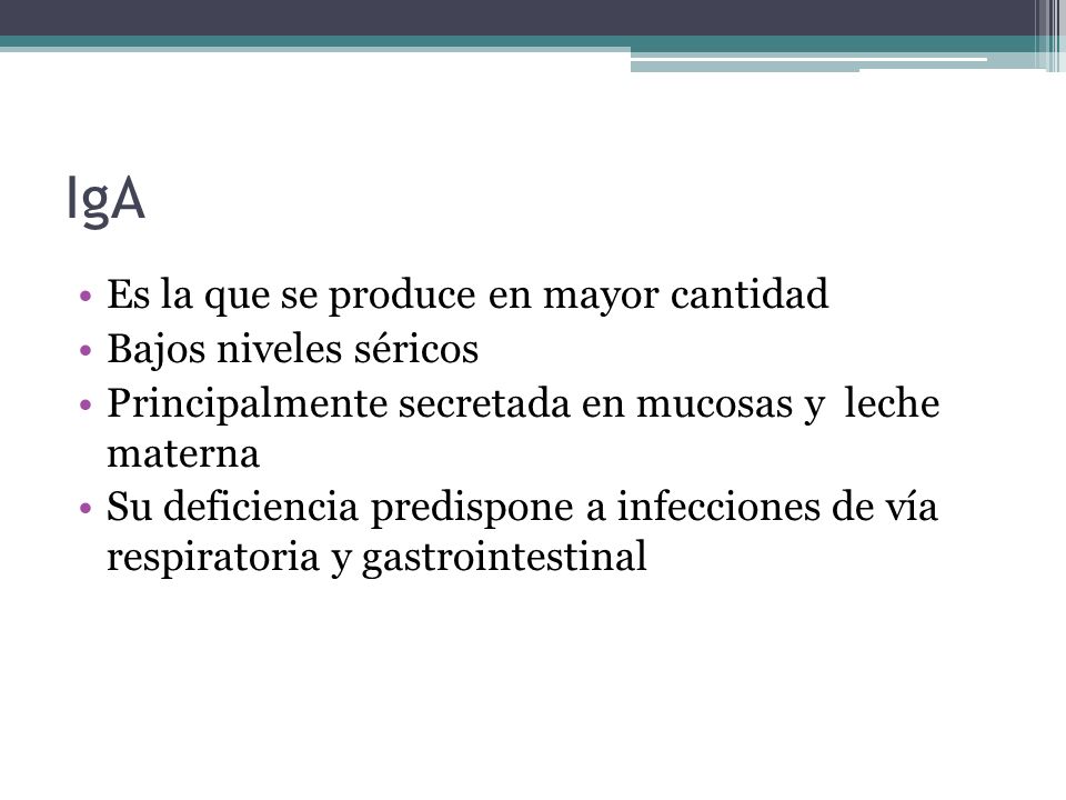 IgA Es la que se produce en mayor cantidad Bajos niveles séricos