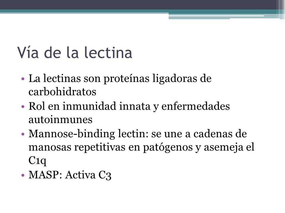Vía de la lectina La lectinas son proteínas ligadoras de carbohidratos