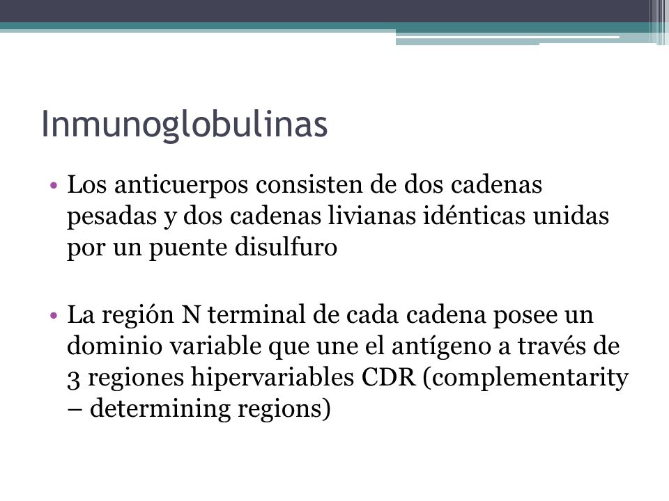 Inmunoglobulinas Los anticuerpos consisten de dos cadenas pesadas y dos cadenas livianas idénticas unidas por un puente disulfuro.