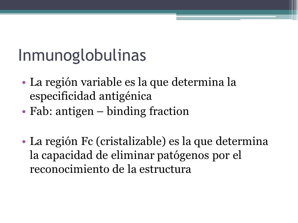 Inmunoglobulinas La región variable es la que determina la especificidad antigénica. Fab: antigen – binding fraction.