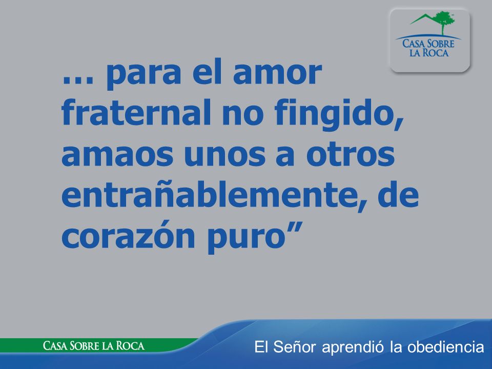 … para el amor fraternal no fingido, amaos unos a otros entrañablemente, de corazón puro