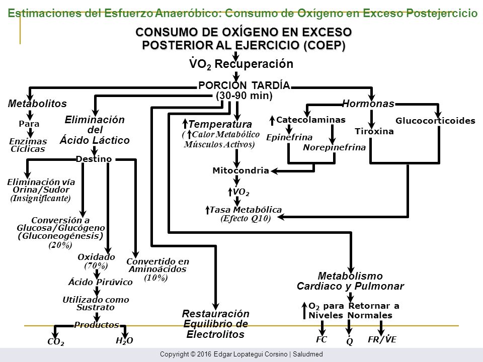 CONSUMO DE OXÍGENO EN EXCESO POSTERIOR AL EJERCICIO (COEP) .