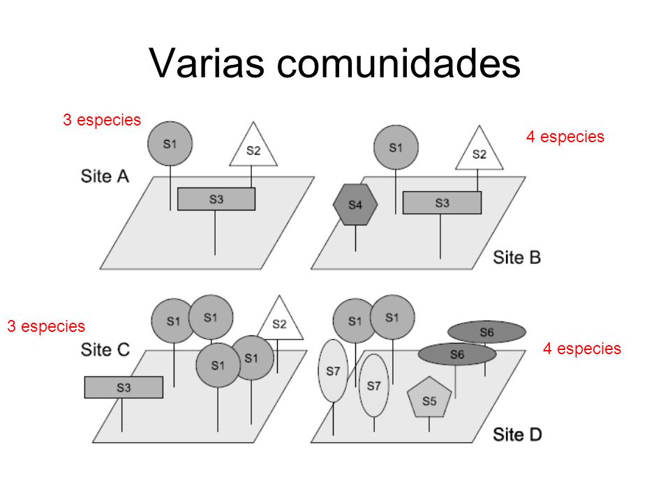 Varias comunidades 3 especies 4 especies 3 especies 4 especies