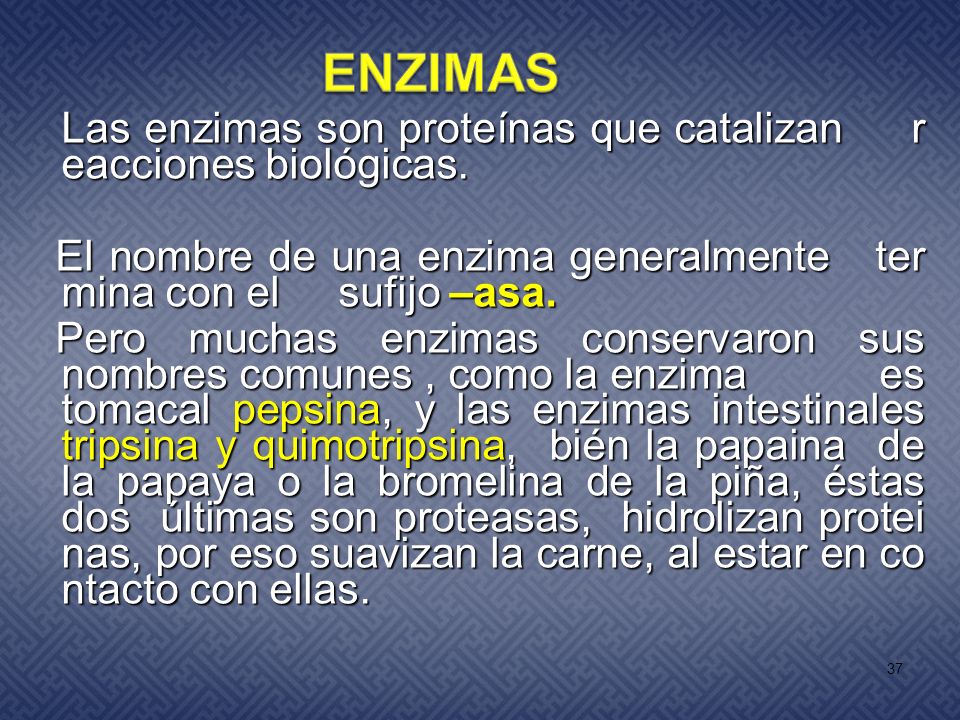 ENZIMAS Las enzimas son proteínas que catalizan reacciones biológicas. El nombre de una enzima generalmente termina con el sufijo –asa.