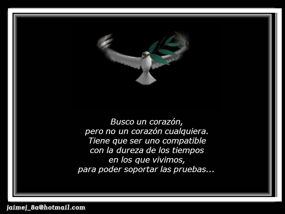 Busco un corazón, pero no un corazón cualquiera