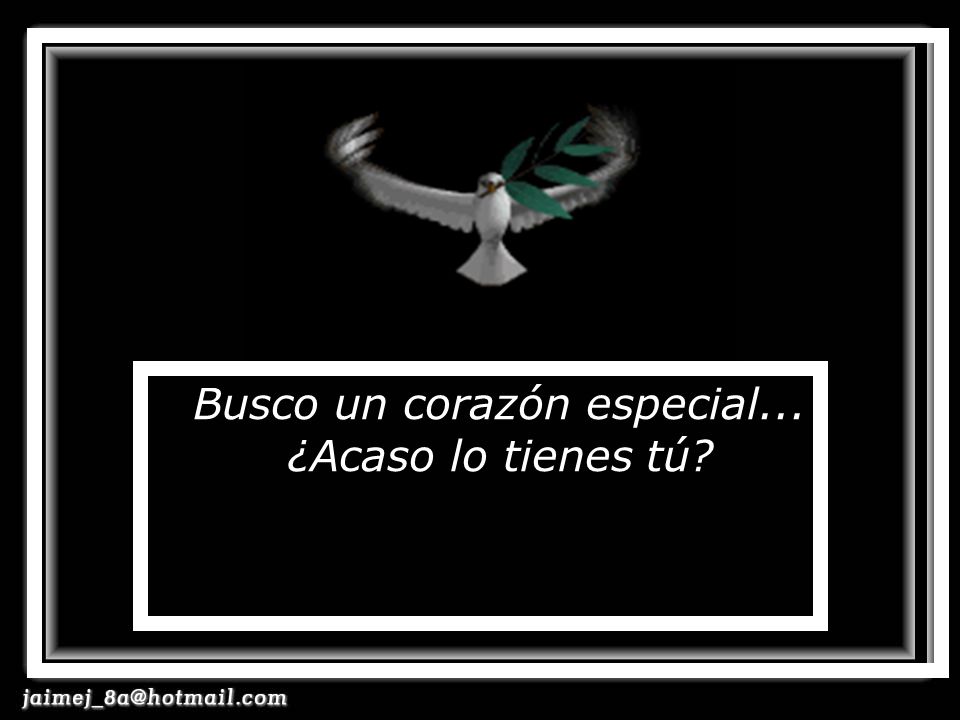 Busco un corazón especial... ¿Acaso lo tienes tú