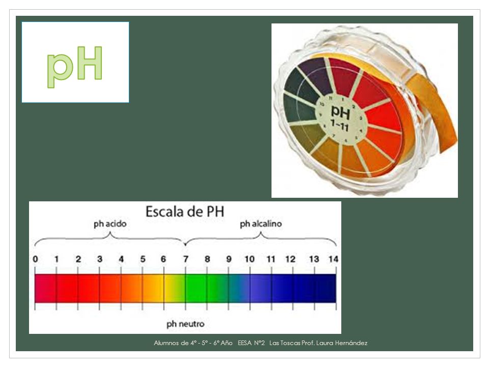 Alumnos de 4° - 5° - 6° Año EESA N°2 Las Toscas Prof. Laura Hernández