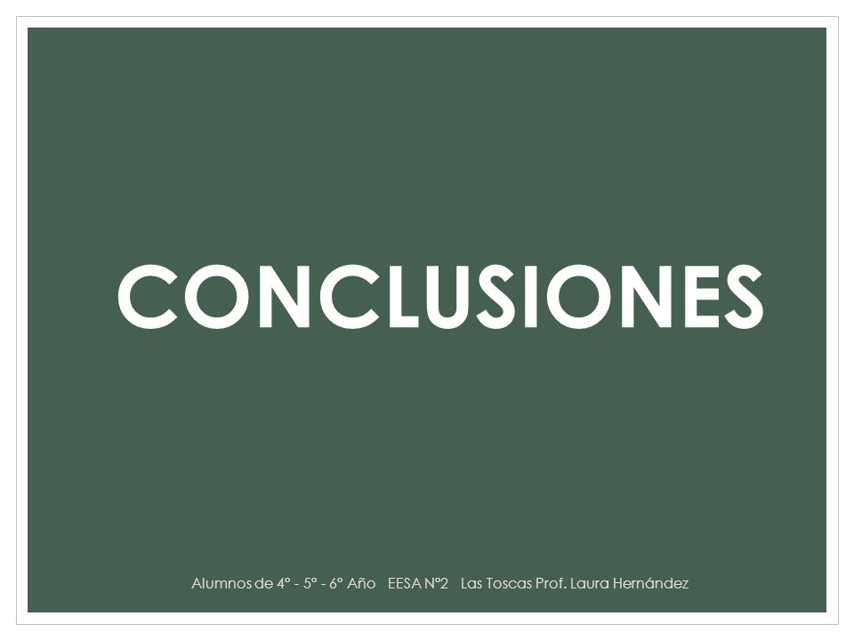 Alumnos de 4° - 5° - 6° Año EESA N°2 Las Toscas Prof. Laura Hernández
