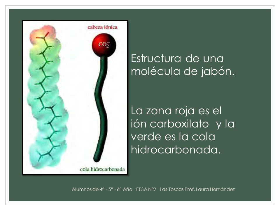Alumnos de 4° - 5° - 6° Año EESA N°2 Las Toscas Prof. Laura Hernández